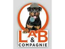Lab & Compagnie